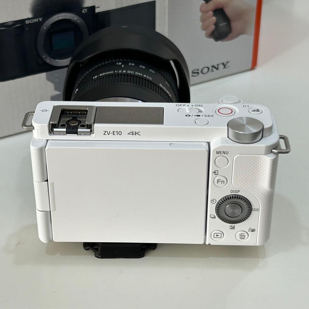 【流星光】SONY ZV-E10 + SIGMA レンズ