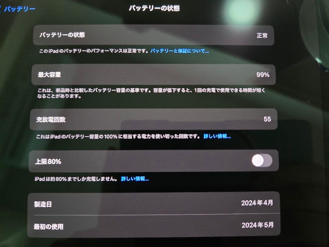 M4 iPad Pro 13 Wifi+Cellular Pencil Pro付