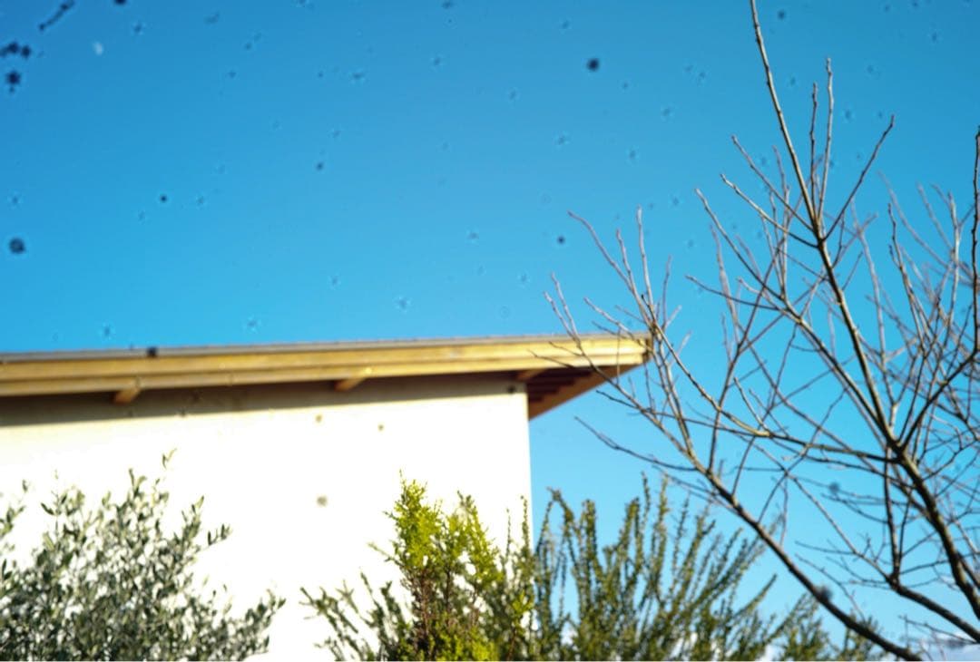 T*a様 Leica M9 本体 ライカ レンジファインダーカメラ ブラック 動