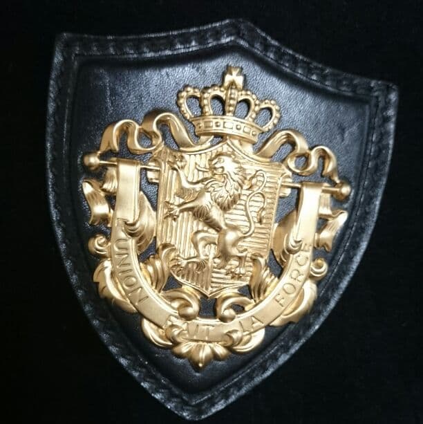 miu miu ブローチ