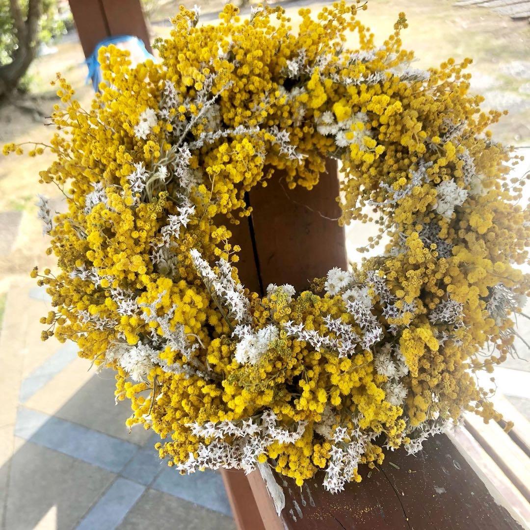 ミモザリース　ミモザ