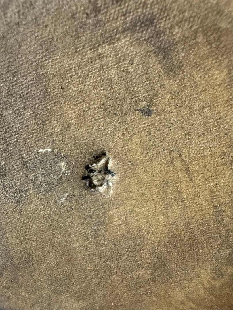 2360 九谷焼　獅子　置物　赤獅子　縁起物　魔除け