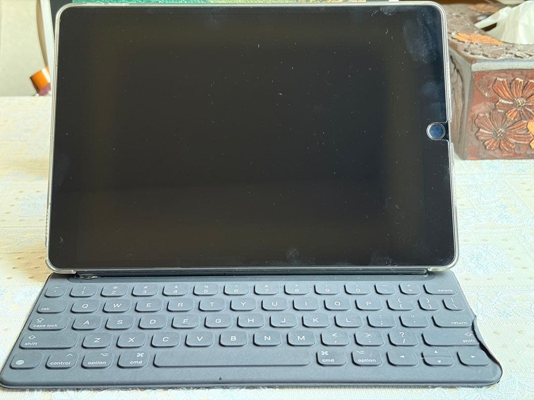 Apple iPad Pro10.5 64GB Wi-Fiセルラー 美品