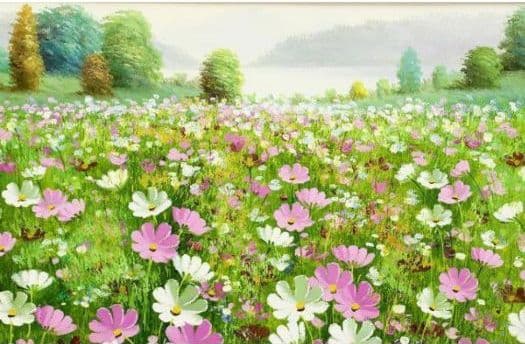 大野純一　油彩　コスモス畑　原画　真作　絵画