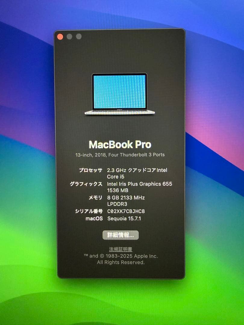 MacBook本体 MacBook Pro (13-inch, 2018) 8GB/256GB