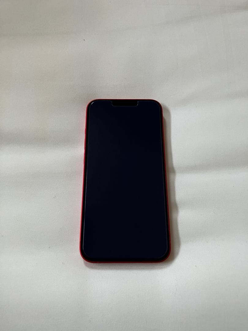 大きな木の下