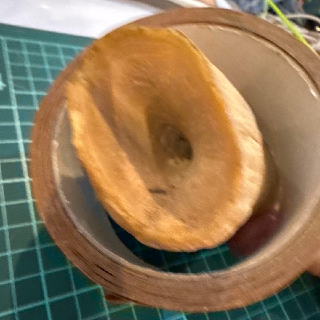 クジラの歯