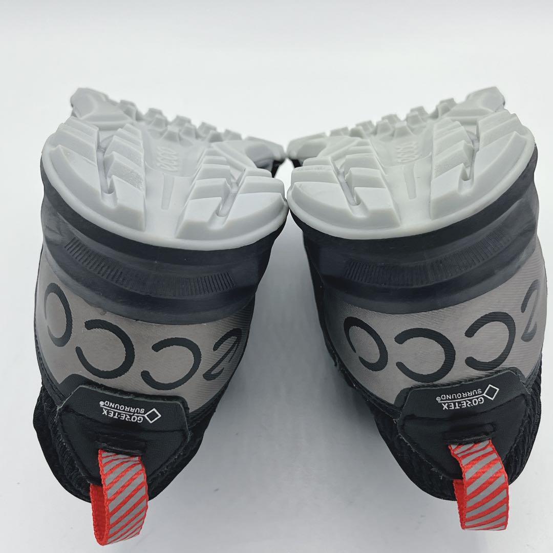 ECCO M GOLF BIOM C4 25.0 エコー　ゴルフシューズ