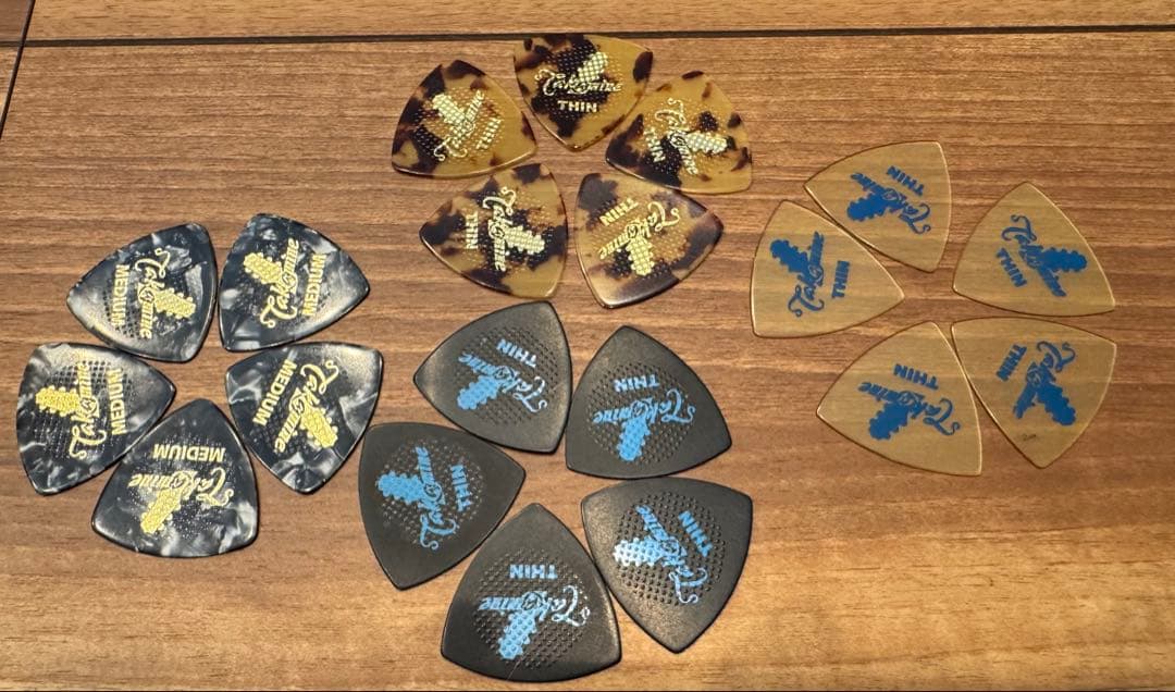 Takamine TSA500アコースティックギター 、ハードケース、チップ