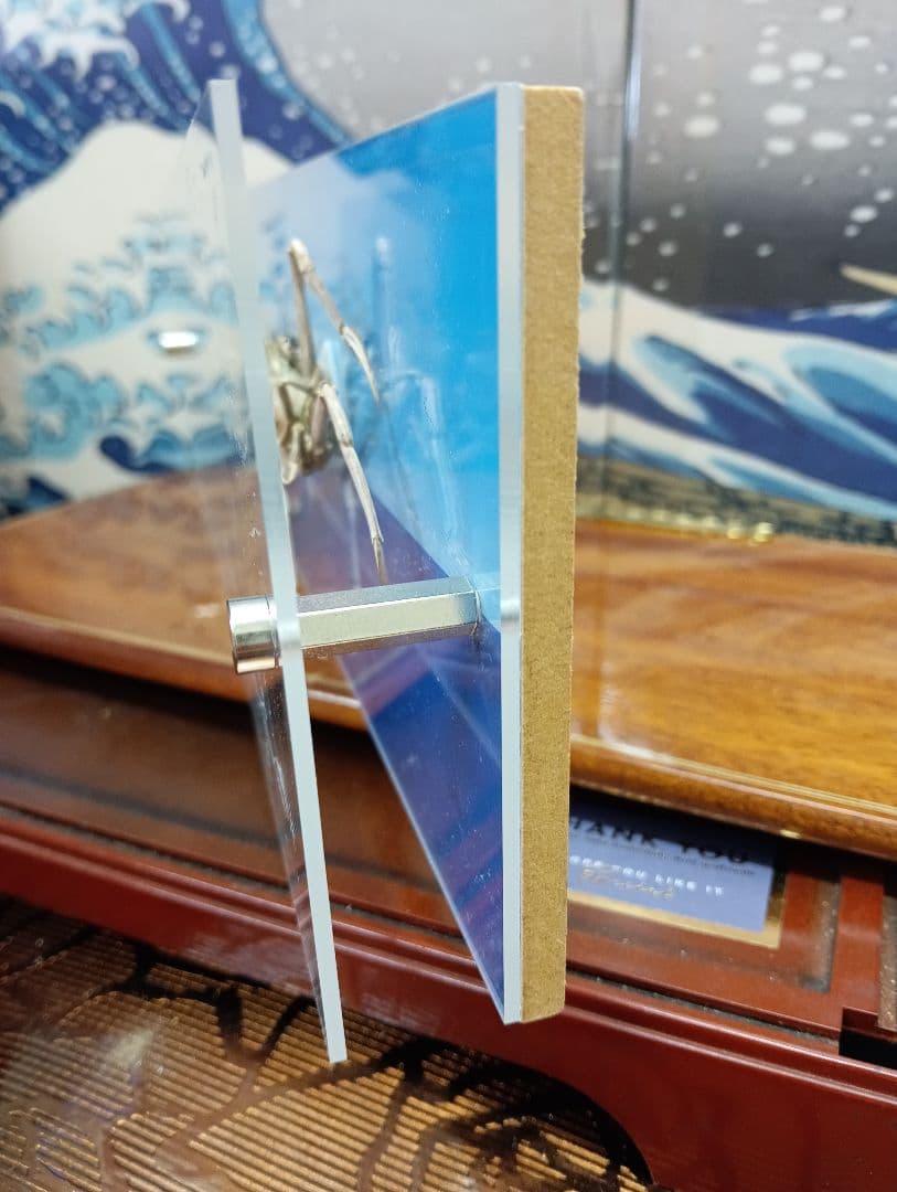 平家怨霊サムライ人面蟹稀少レアリアル立体リアル標本横幅３０Ｘ縦１０センチ置物