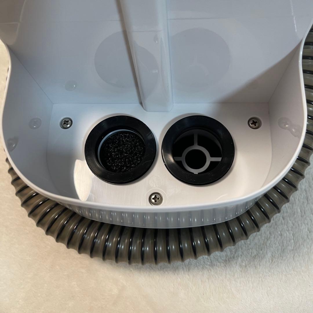 【美品】IRIS OHYAMA リンサークリーナー RNS-P10