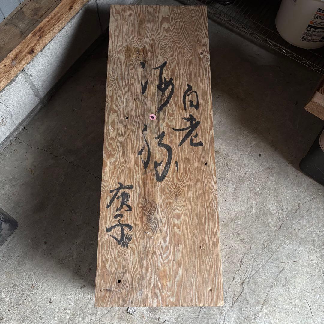 イルカ　骨格標本