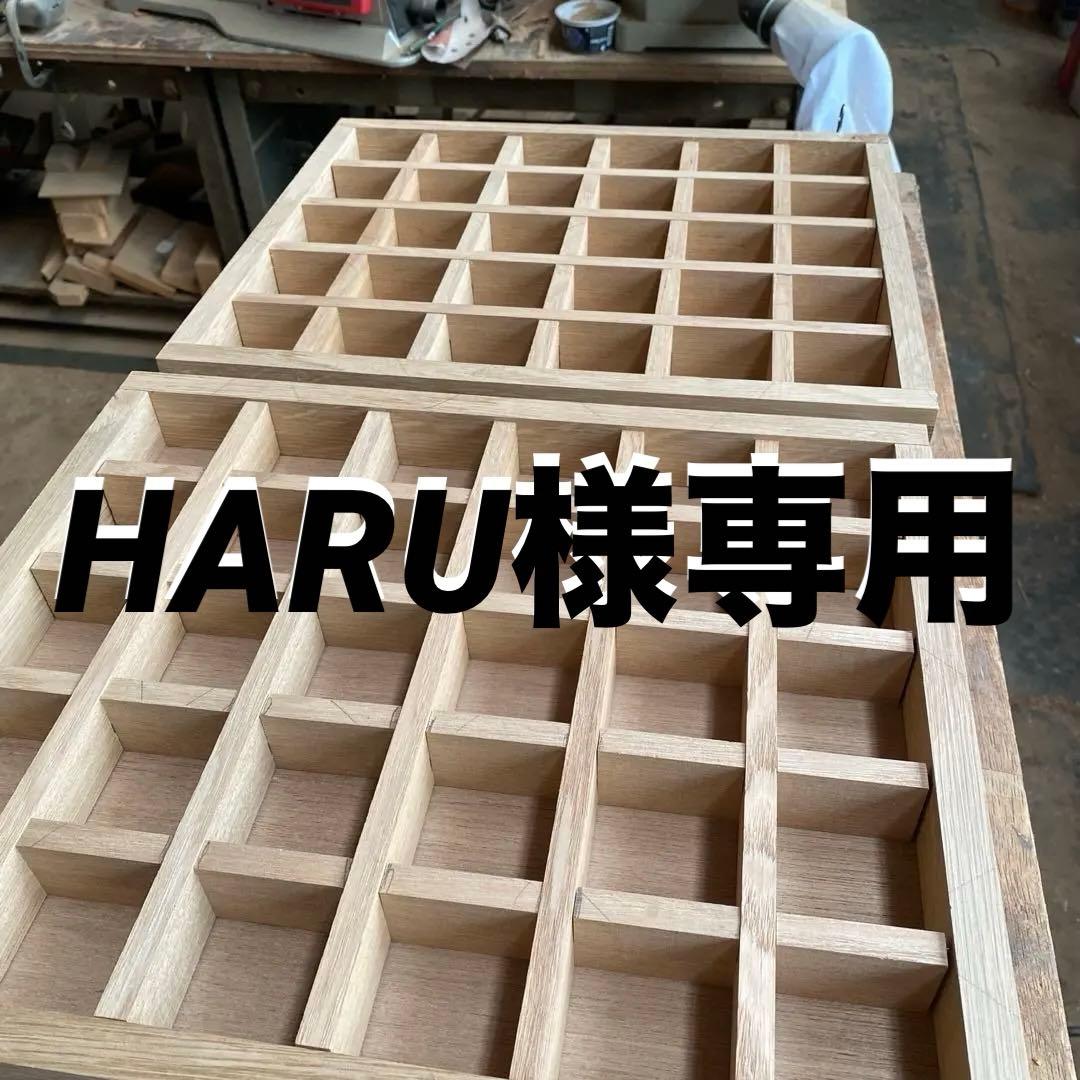 HARU　 コレクションbox 30マス5x6 ２セット　ホワイトオーク