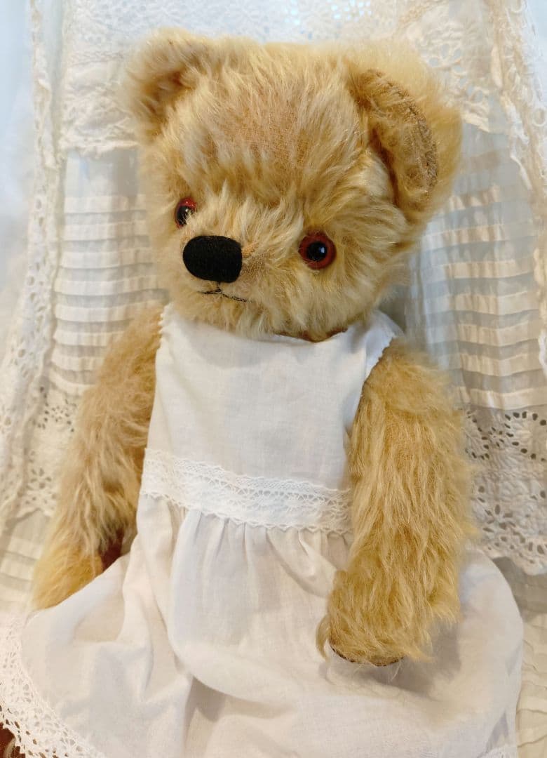 期間限定価格　チャドバレーベア 約37cm