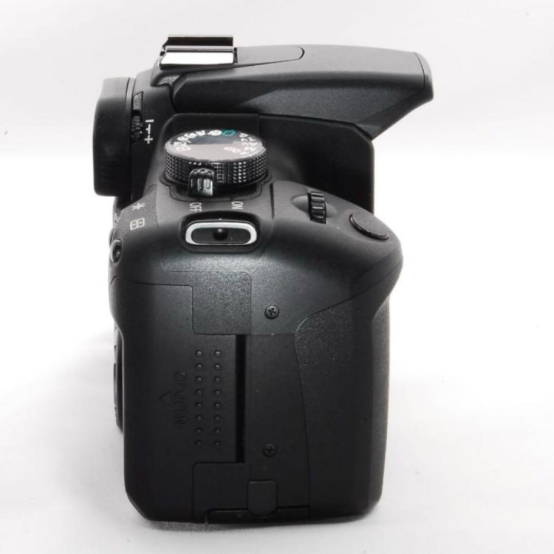 Canon Kiss Digital N望遠ズーム　初心者向け