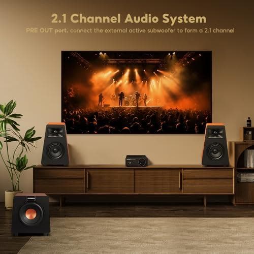 AAIYIMA A07 Premium TPA3255 パワーアンプ 300Wx