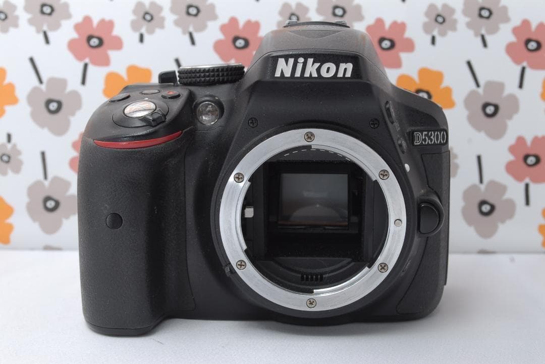 ❤Nikon D5300❤夜景撮影◎❤Wi-Fi搭載で簡単にシェア出来る❤美品❤