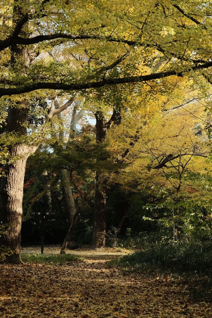 Fujifilm XPro2 おまけ付き