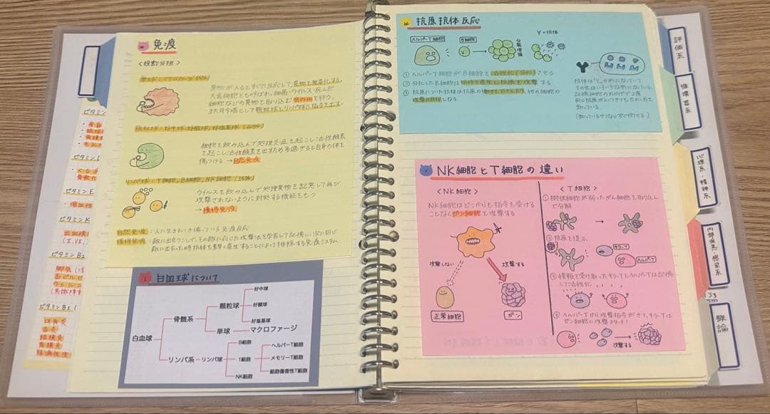 理学療法士 作業療法士 まとめノート、ふせんノート 【コピー】