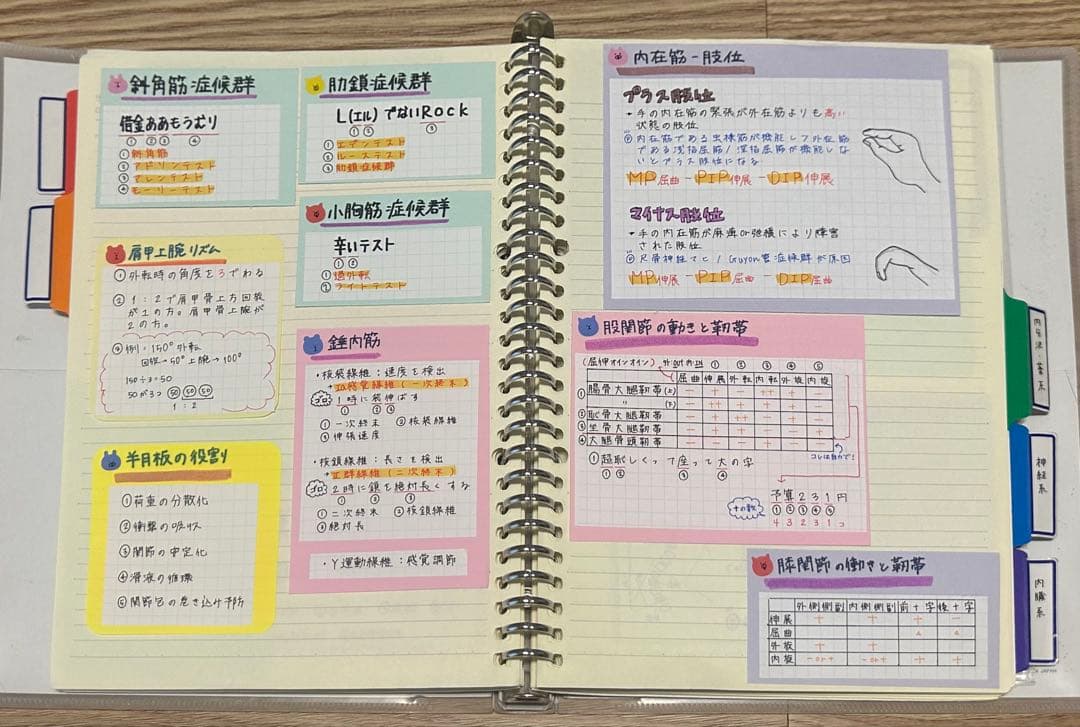 理学療法士 作業療法士 まとめノート、ふせんノート 【コピー】