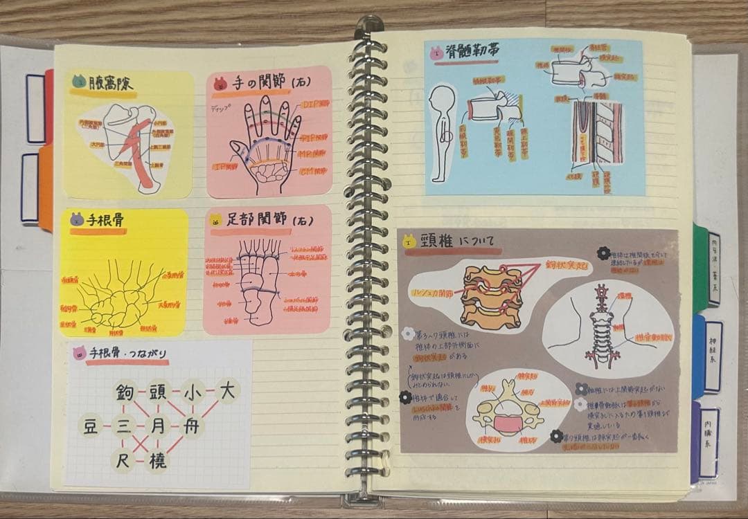 理学療法士 作業療法士 まとめノート、ふせんノート 【コピー】