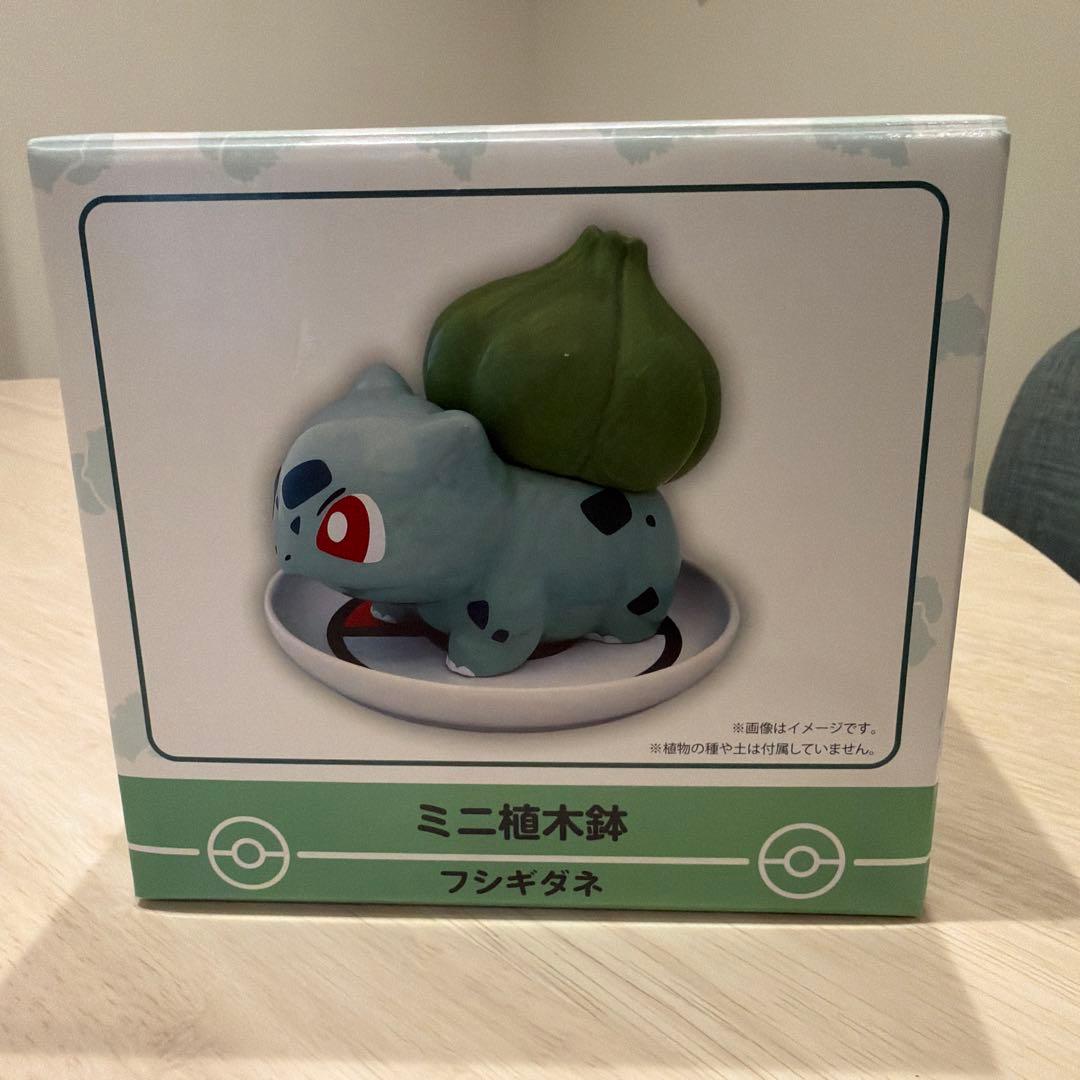 未使用　ポケモンセンター　フシギダネ　ミニ植木鉢