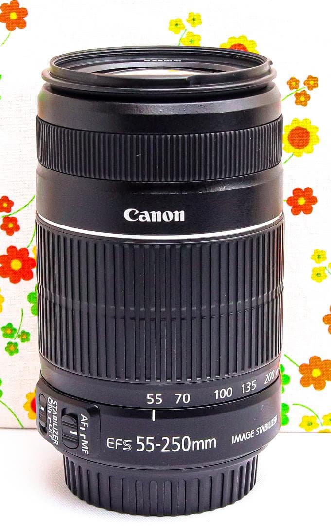 Canon EF-S 55-250mm IS Ⅱ☆手振れ補正☆望遠レンズ