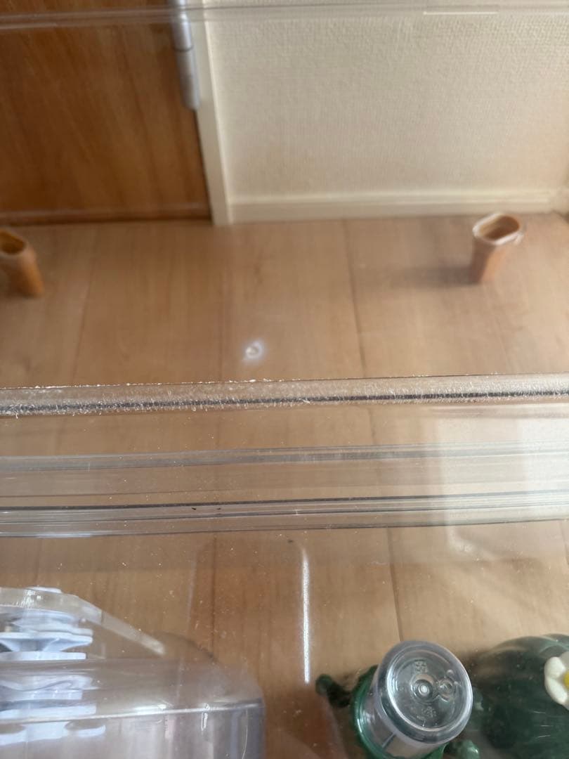 BUCATSTATE ケージ セット