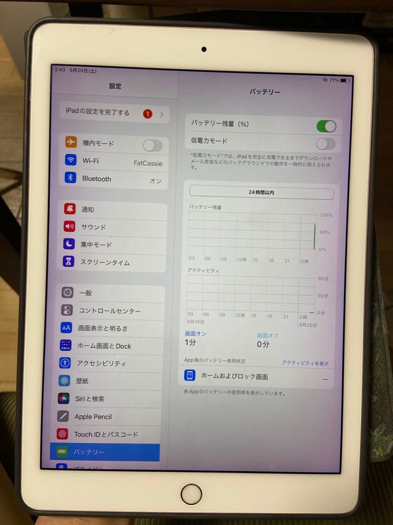 iPad Pro（9.7インチ） 本体 256GB