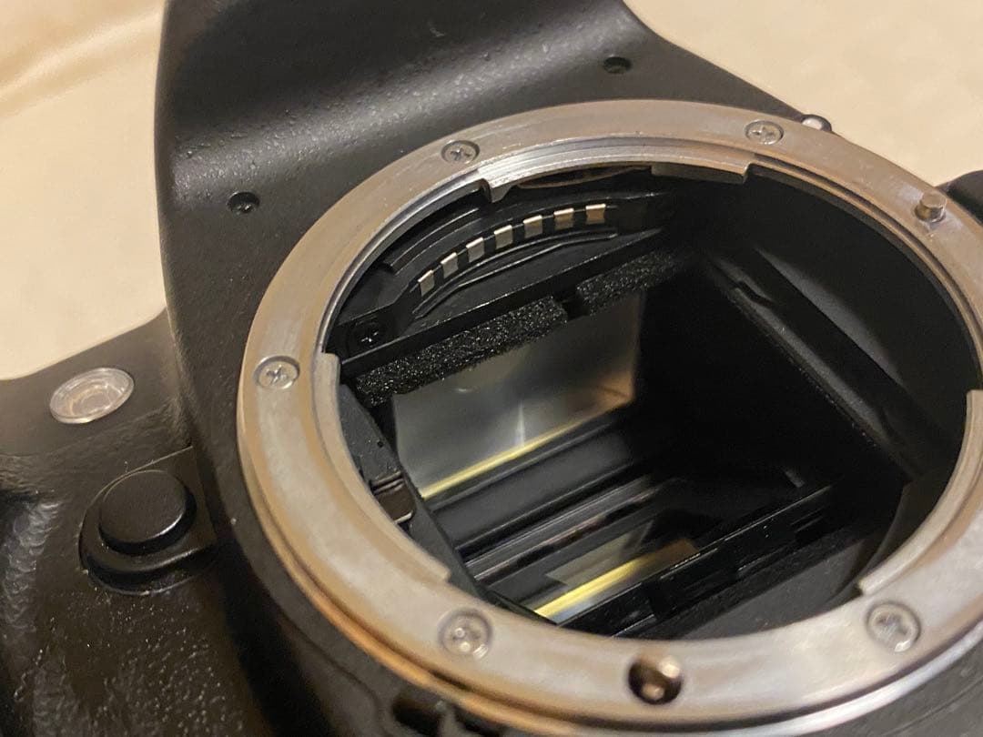 Nikon ニコン D80 MB-D80 セット