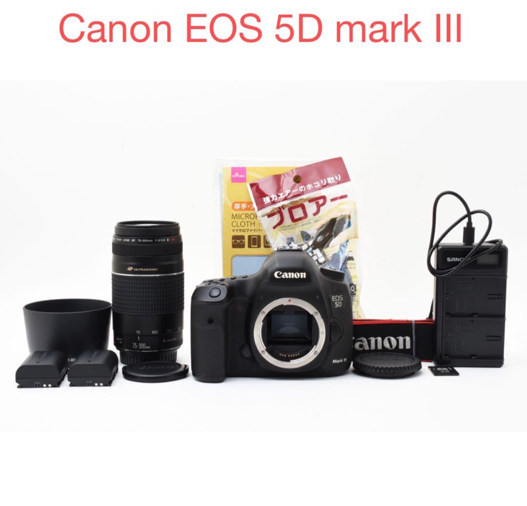 一眼レフカメラ Canon EOS 5D MarkIII 望遠レンズセット