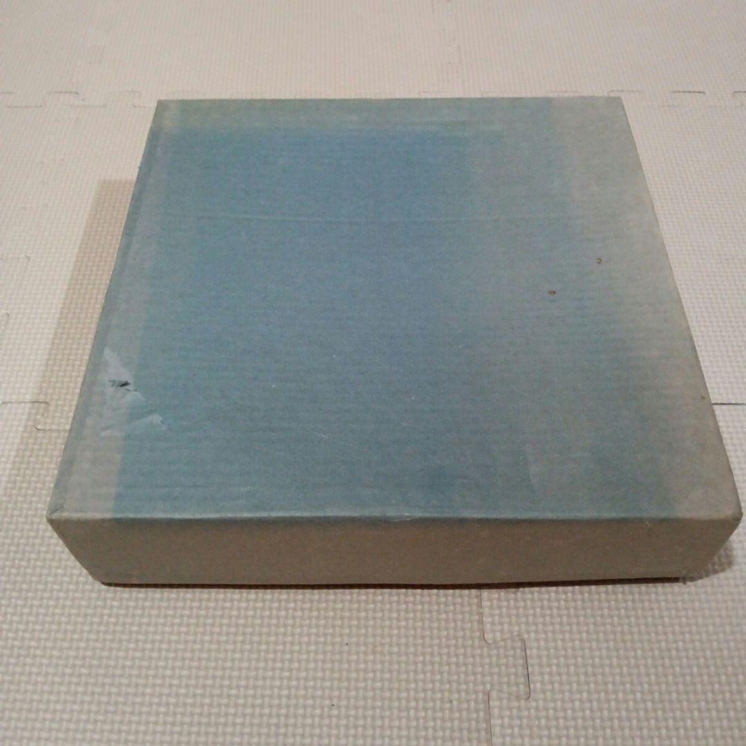 肥前焼き大皿 2枚セット 網目模様 ブルー系 和食器 フグ皿 未使用