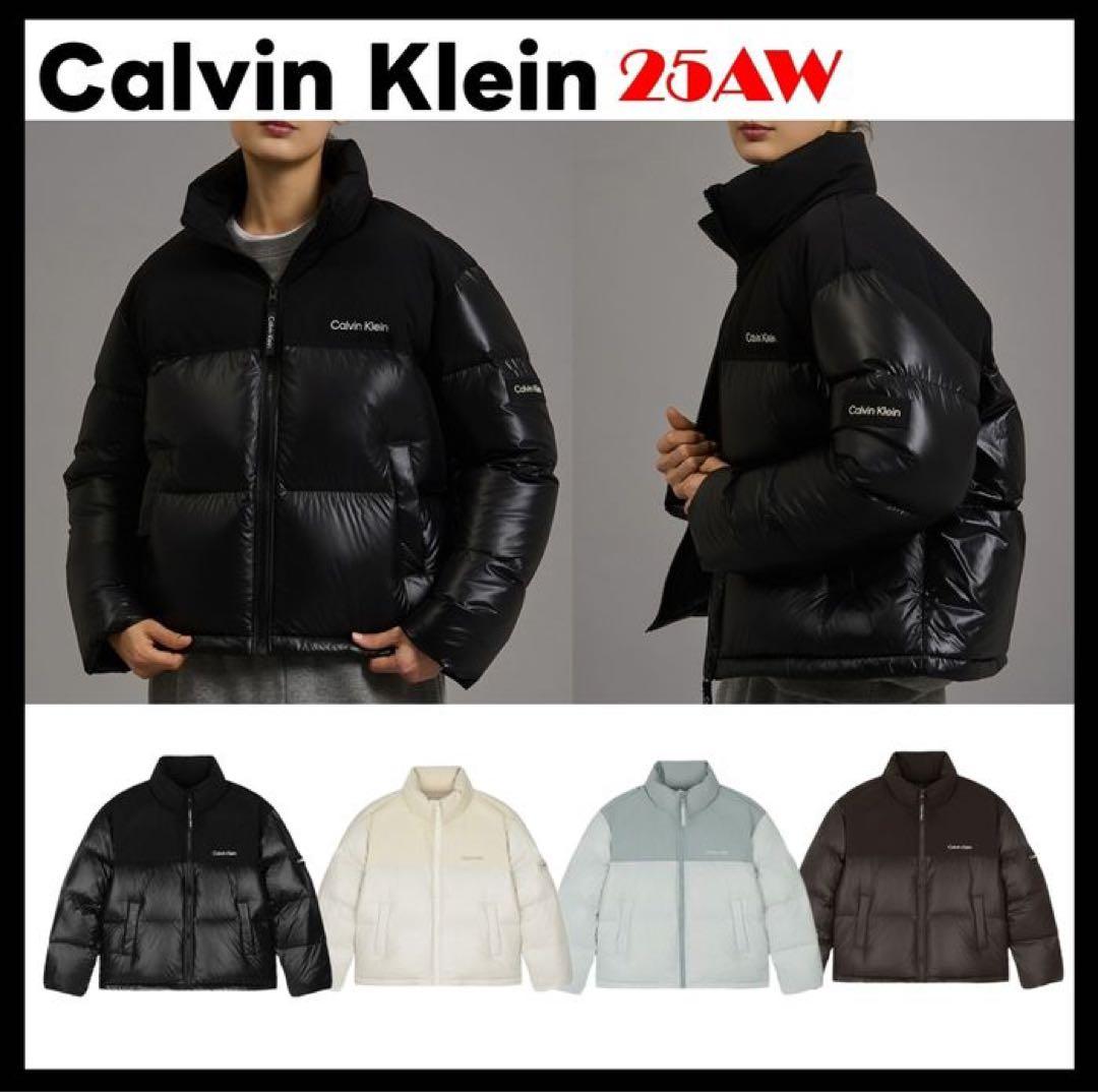   ブラウン ダウンジャケット