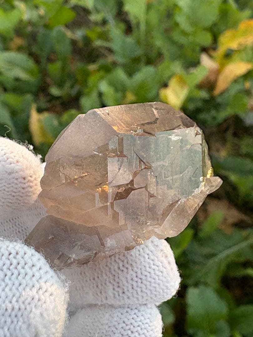 【匿名発送】パキスタン産スモーキーグインデル