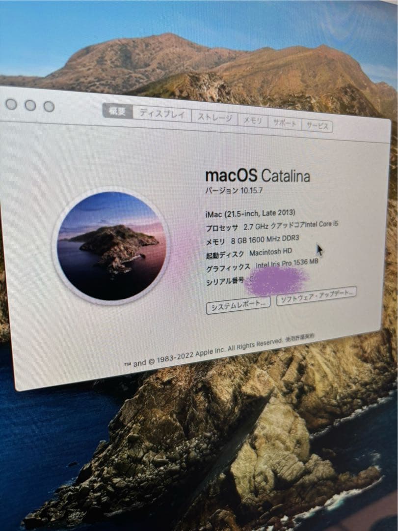 y*i様 最終値下げ中　Apple iMac (21.5-inch, Late