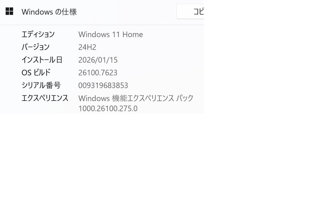 Microsoft Surface Pro6 シルバー