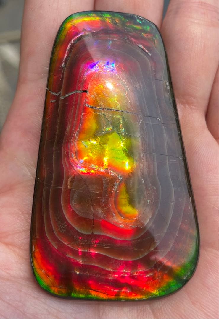 【期間限定セール】アンモライト 天然研磨ルースストーン