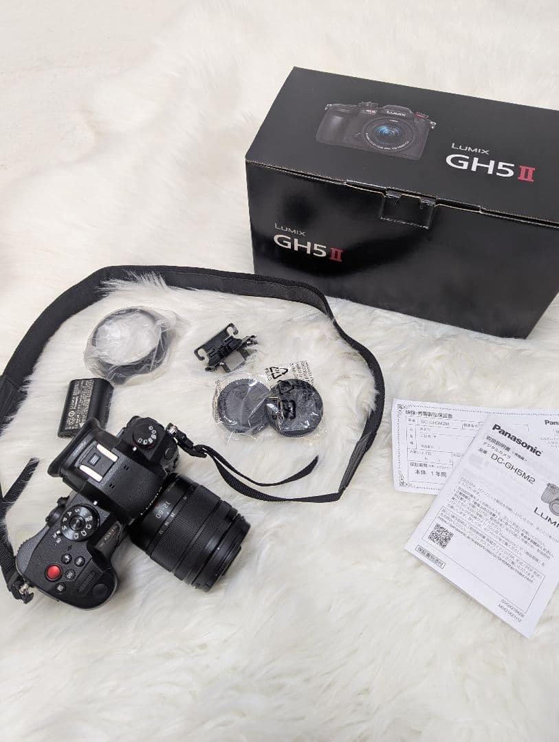 Panasonic LUMIX DC-GH5M2 標準レンズ デジタル一眼カメラ