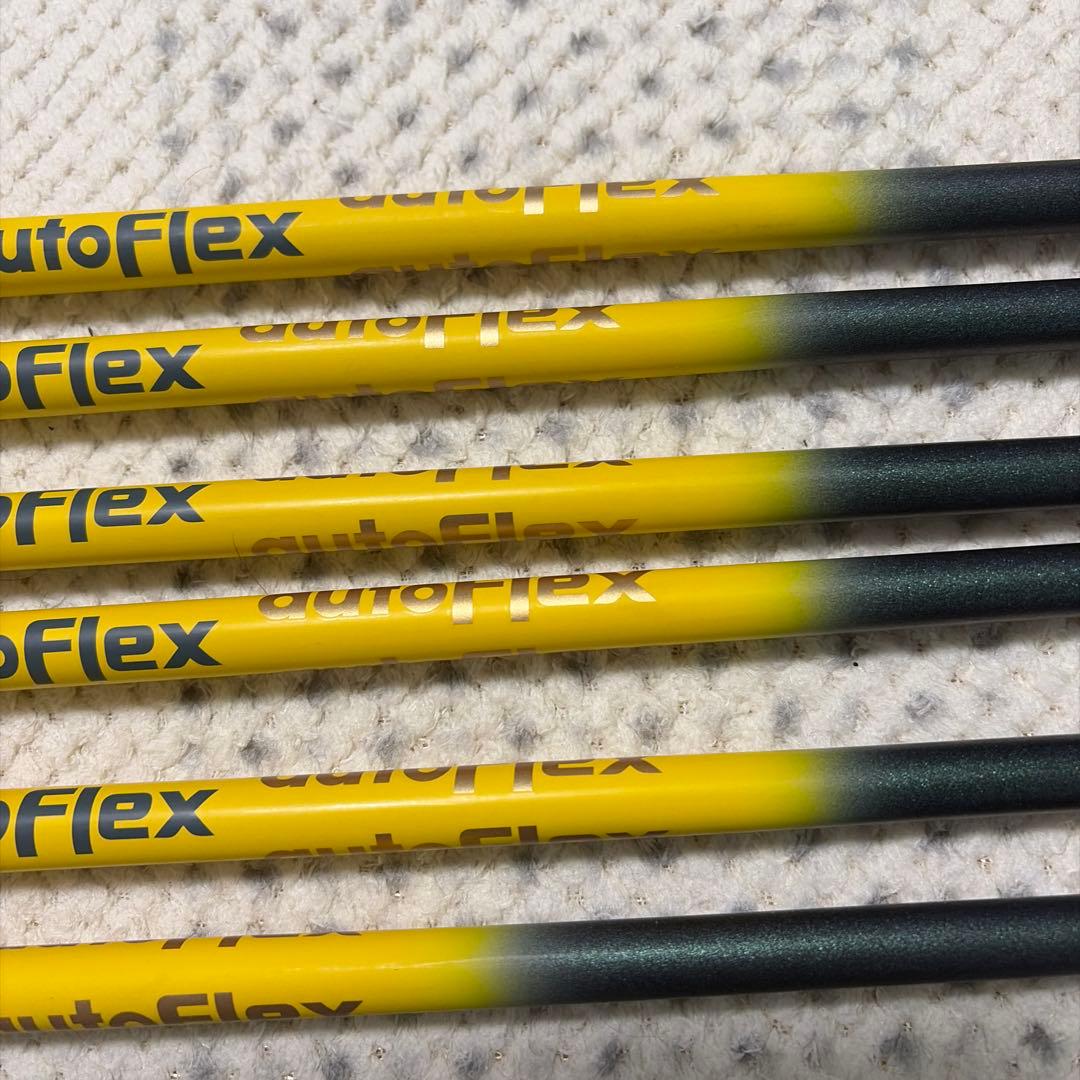オートフレックス　SF405 6本セット