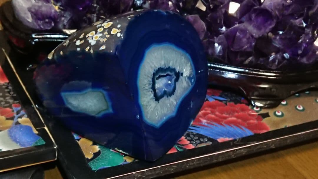 ブルーメノウドーム　人気急上昇　ドゥルージータイプ  知性、幸運をもたらす