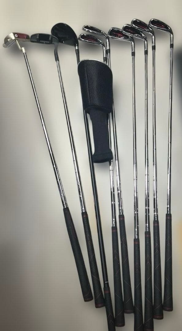 ワールドイーグルWORLD EAGLEゴルフアイアンクラブセットF-01α