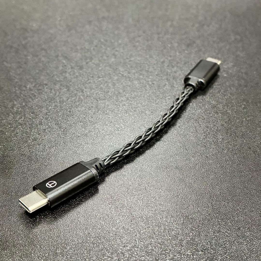 ファイナル VR3000 有線イヤホン Black Pearl 2点出音確認済み