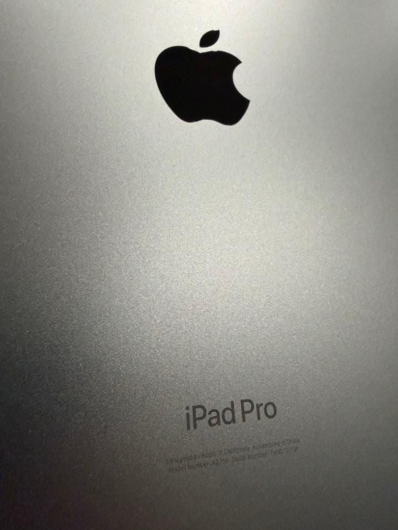 iPad Pro 11インチ 第4世代 Wi-Fi 256GB M2 2022