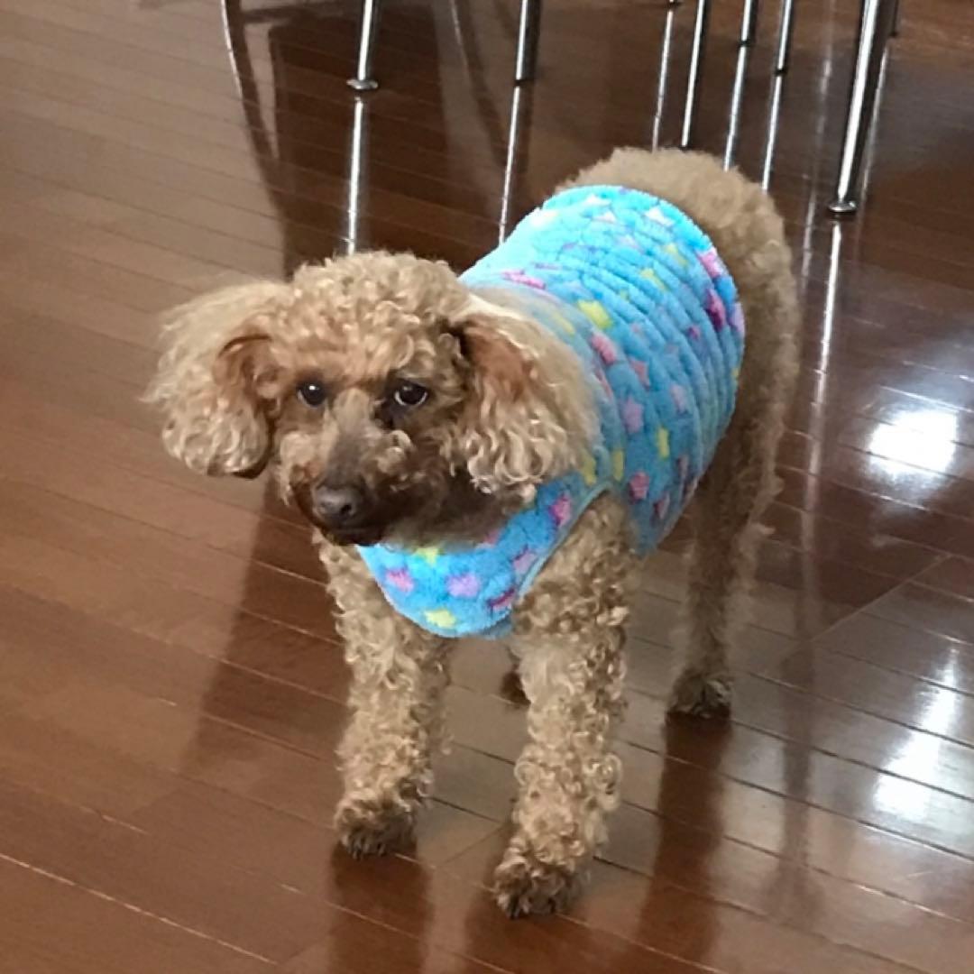 lapiros-plus様ご確認用です