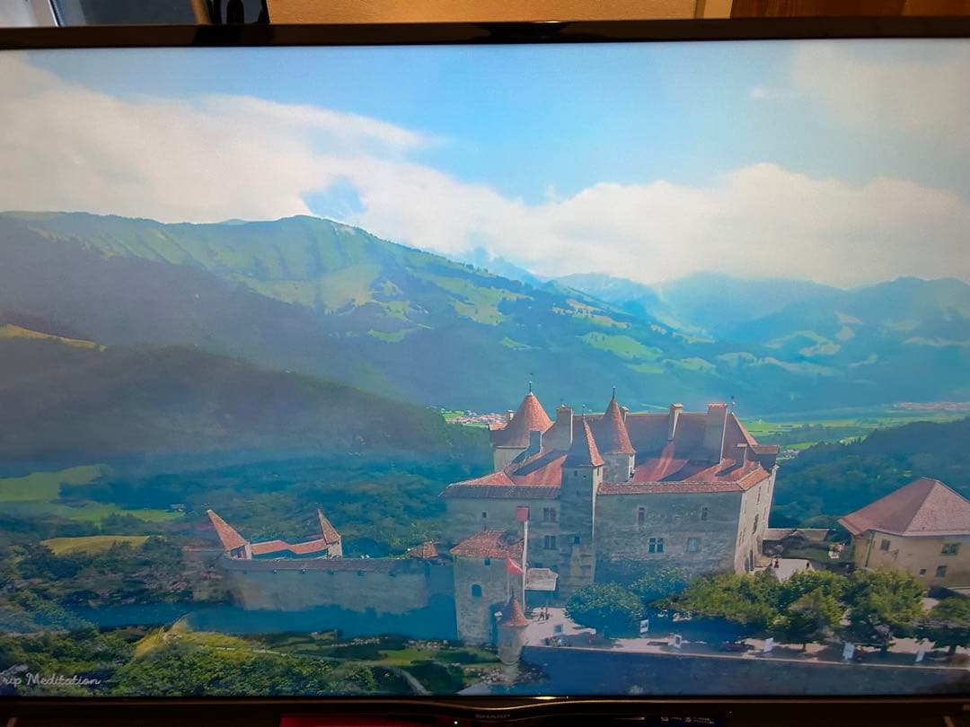 大幅値下げ シャープ 4T-C45AL1 2019年製 スタンド付き