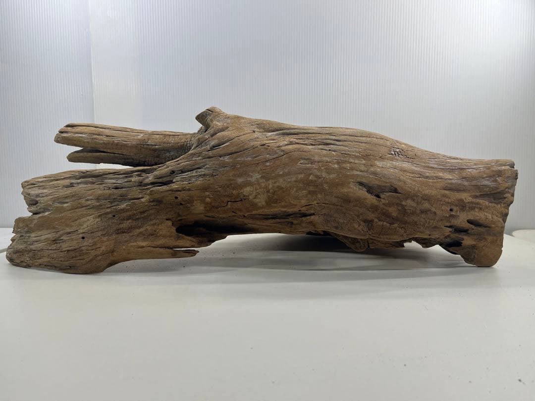 W28特大流木アク抜き済み流木 爬虫類シェルター 登り木 インテリア 生け花