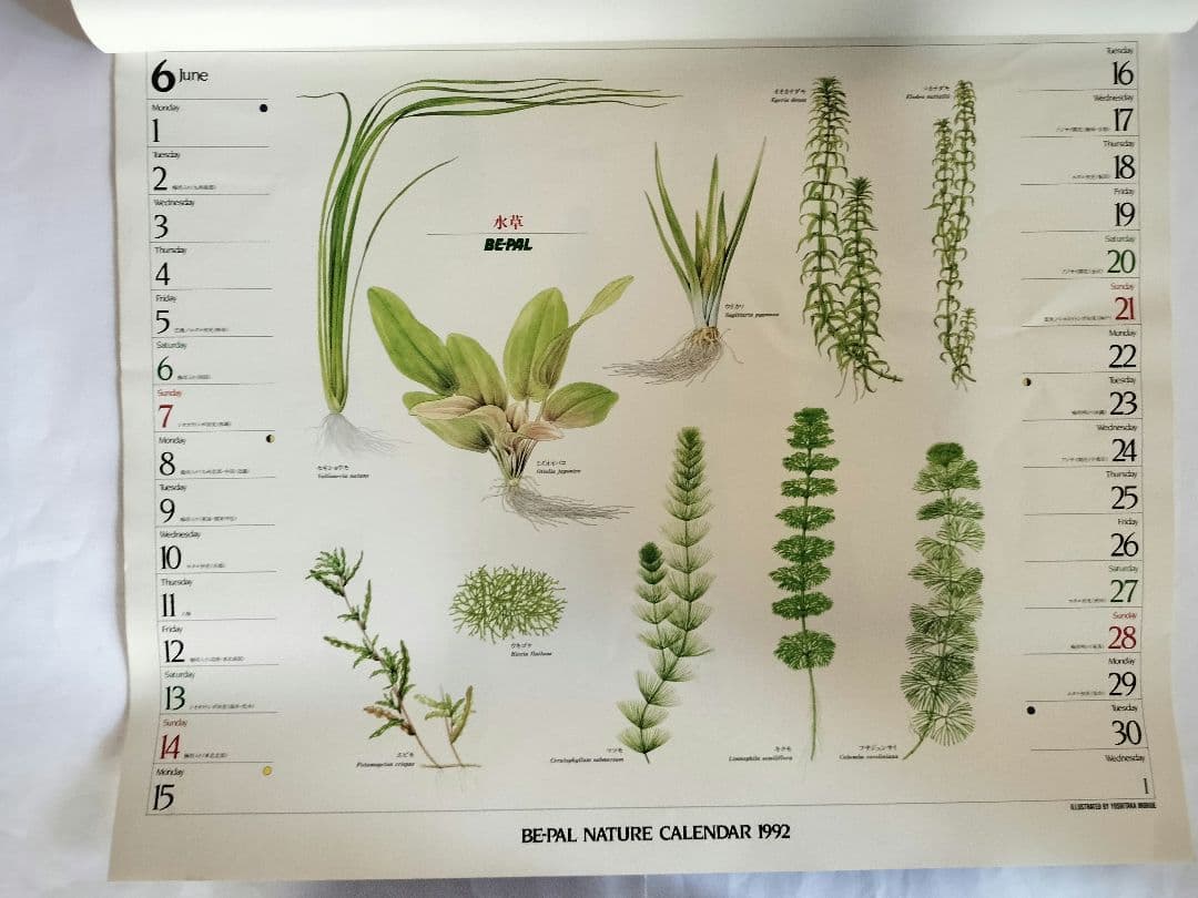 BE-PAL ビーパル カレンダー 新品未使用 1992年 ヴィンテージ