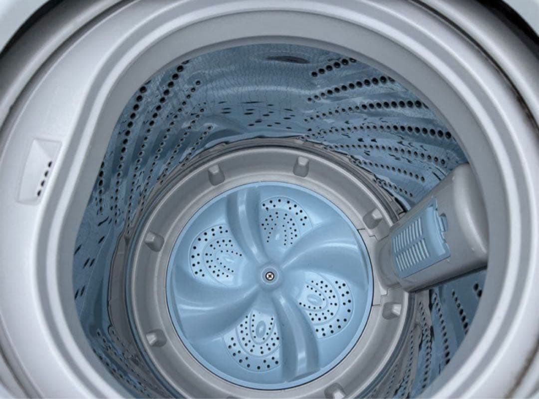 2019年式 5.5kg Hisense 洗濯機 HW-T55C