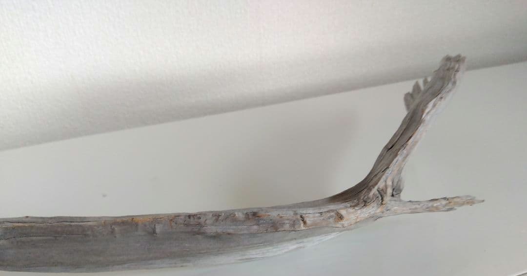 ★大幅値下げしました★真柏の枯れ木(カレボク) 盆栽の枯れ木④　神