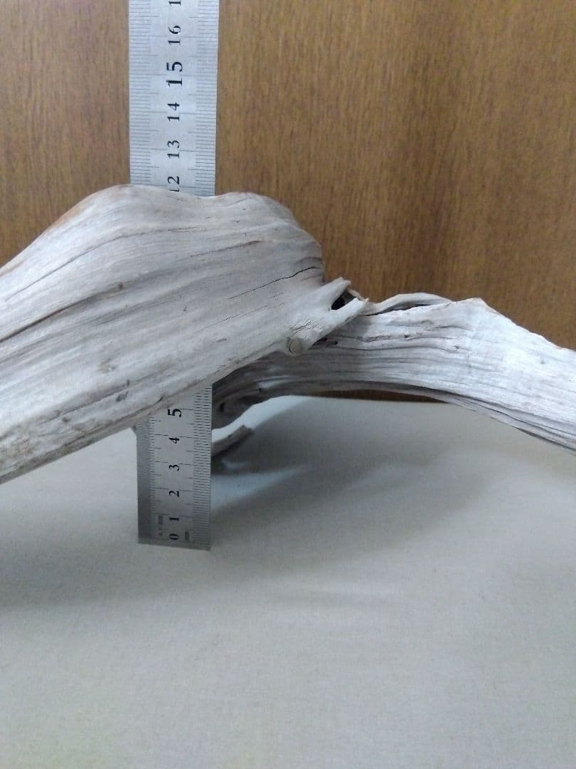 ★大幅値下げしました★真柏の枯れ木(カレボク) 盆栽の枯れ木④　神